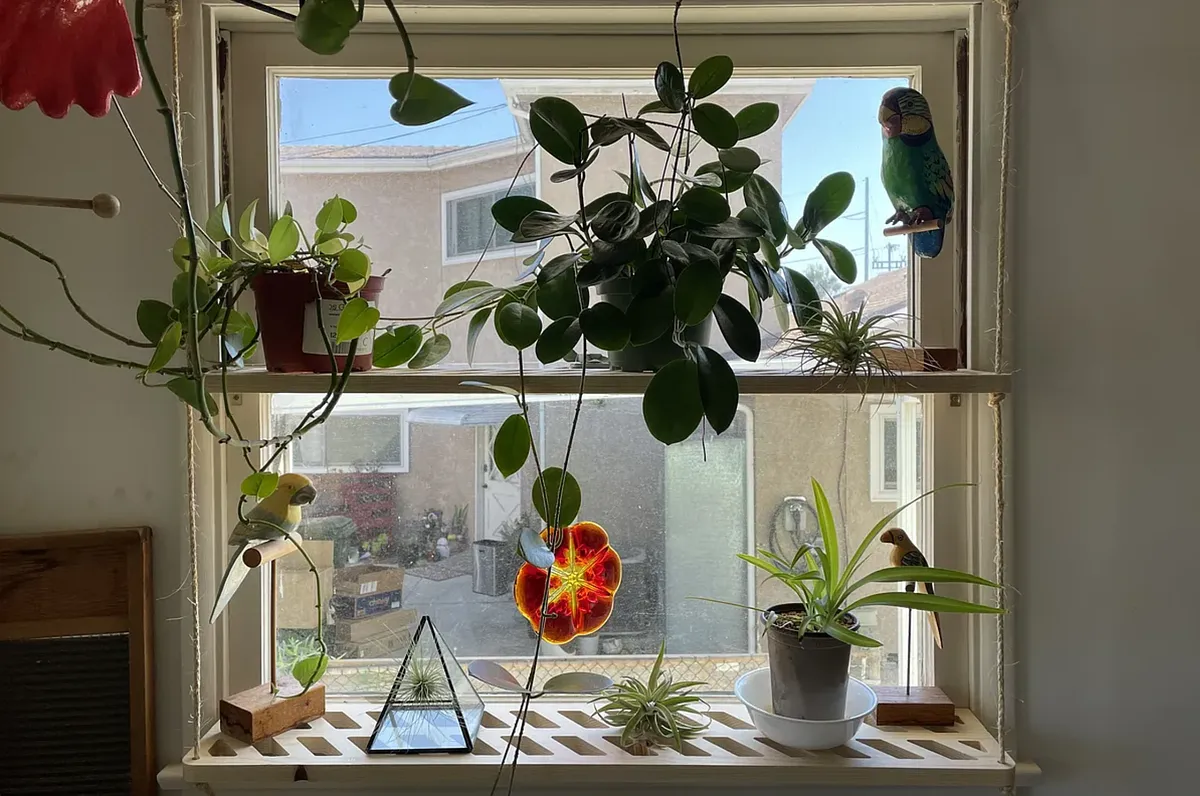 window greenhouse shelf - image 1